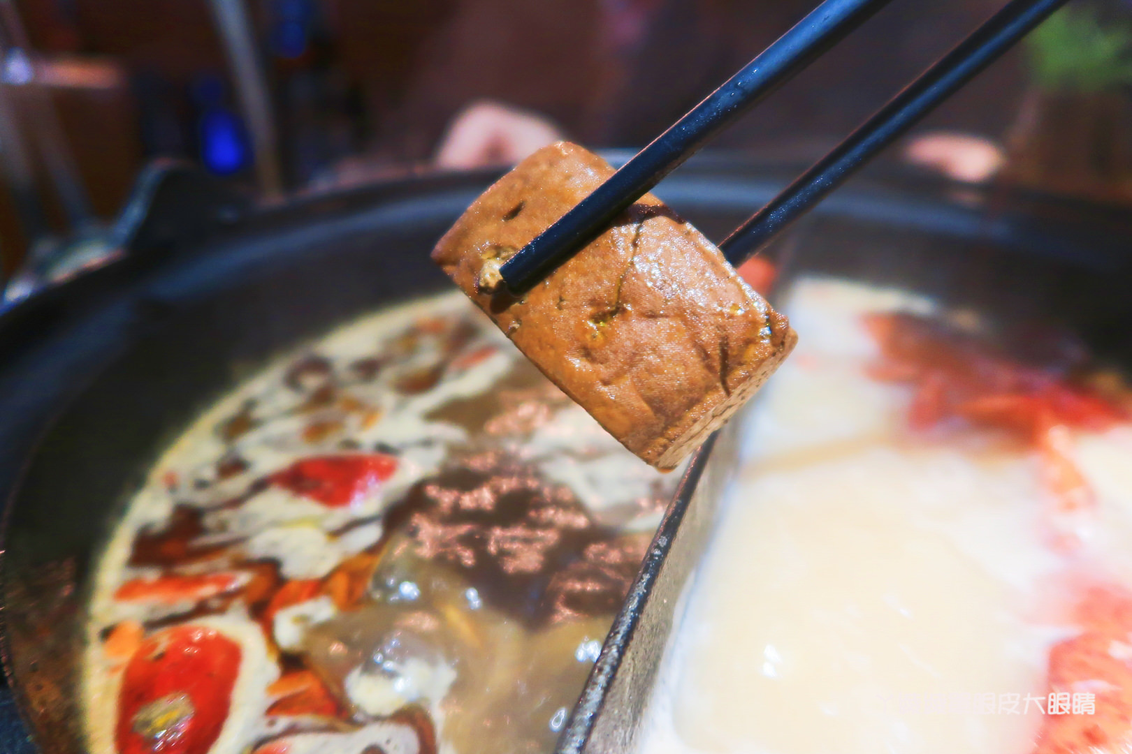 新竹火鍋推薦極鼎鮮鍋物！活跳跳的波士頓龍蝦自己撈，大肉盤吃到不要不要，巨城附近新開幕東大路上火鍋