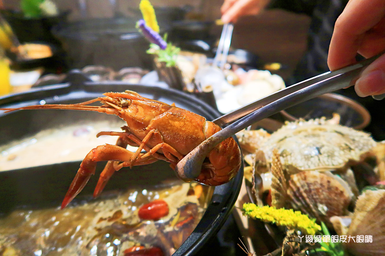 新竹火鍋推薦極鼎鮮鍋物!活跳跳的波士頓龍蝦自己撈,大肉盤吃到不要不要,巨城附近新開幕東大路上火鍋