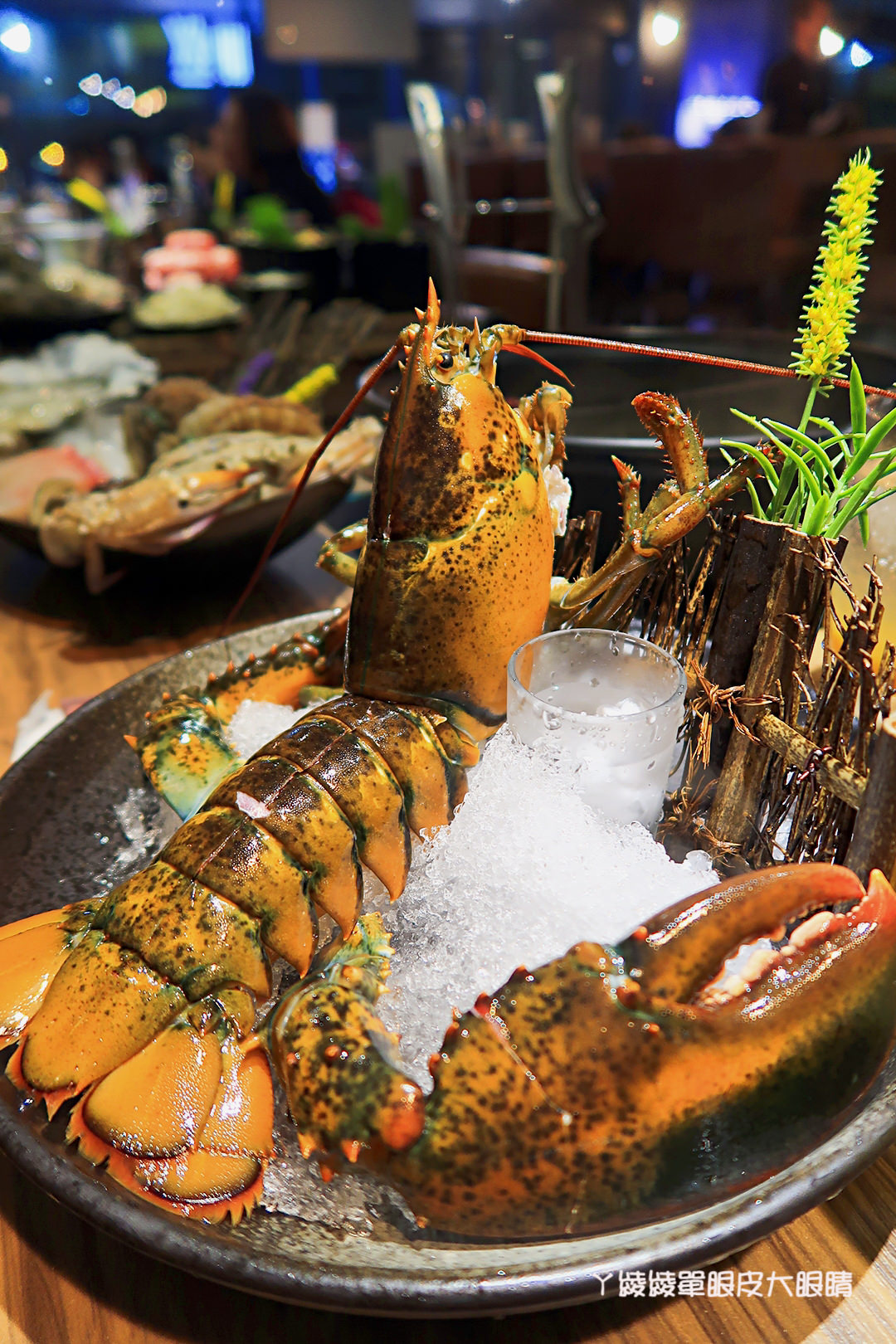 新竹火鍋推薦極鼎鮮鍋物！活跳跳的波士頓龍蝦自己撈，大肉盤吃到不要不要，巨城附近新開幕東大路上火鍋