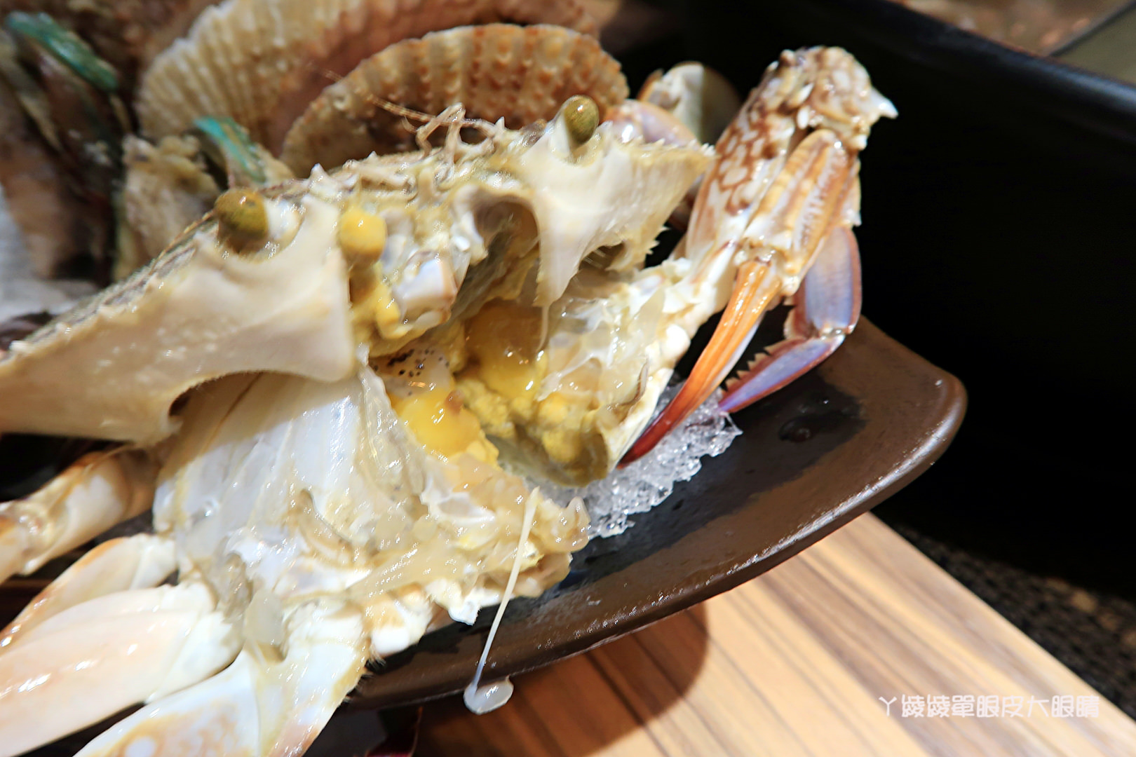 新竹火鍋推薦極鼎鮮鍋物！活跳跳的波士頓龍蝦自己撈，大肉盤吃到不要不要，巨城附近新開幕東大路上火鍋