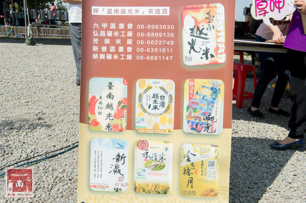 芳榮米廠：【臺南美食】花現臺南越光米，千人於木棉花道手作長壽司~臺南越光米(臺南16號品種)
