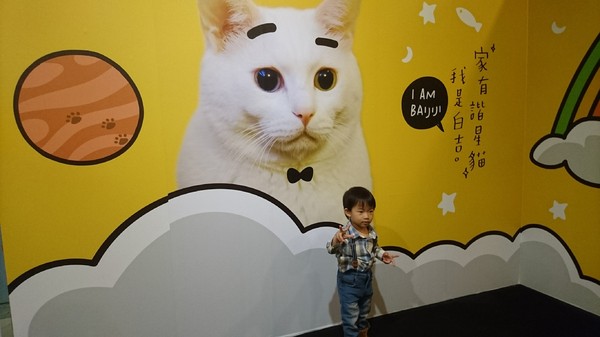 萌系星球 汪喵特展：高雄夢時代~萌系星球 汪喵特展~鏟屎官必逛~多種趣味體驗~可愛貓狗陪伴~好拍到嫑嫑~免費展覽錯過可惜~
