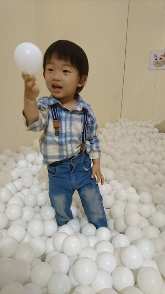 萌系星球 汪喵特展：高雄夢時代~萌系星球 汪喵特展~鏟屎官必逛~多種趣味體驗~可愛貓狗陪伴~好拍到嫑嫑~免費展覽錯過可惜~