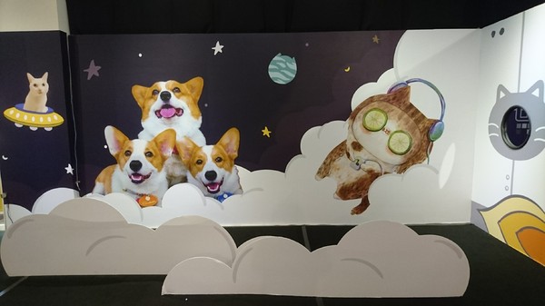 萌系星球 汪喵特展：高雄夢時代~萌系星球 汪喵特展~鏟屎官必逛~多種趣味體驗~可愛貓狗陪伴~好拍到嫑嫑~免費展覽錯過可惜~