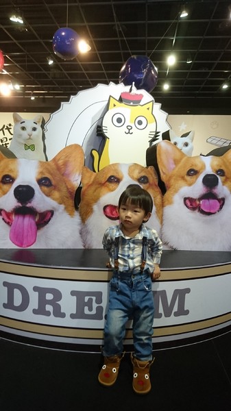 萌系星球 汪喵特展：高雄夢時代~萌系星球 汪喵特展~鏟屎官必逛~多種趣味體驗~可愛貓狗陪伴~好拍到嫑嫑~免費展覽錯過可惜~