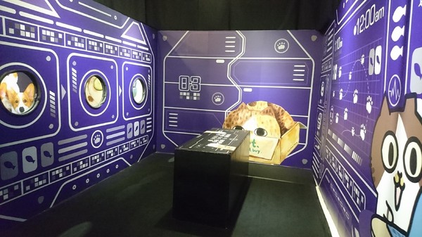 萌系星球 汪喵特展：高雄夢時代~萌系星球 汪喵特展~鏟屎官必逛~多種趣味體驗~可愛貓狗陪伴~好拍到嫑嫑~免費展覽錯過可惜~