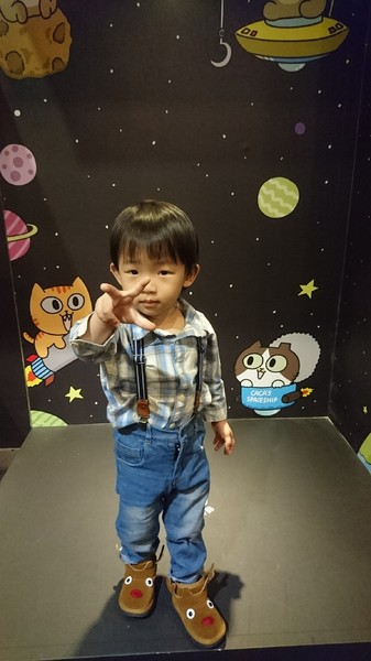 萌系星球 汪喵特展：高雄夢時代~萌系星球 汪喵特展~鏟屎官必逛~多種趣味體驗~可愛貓狗陪伴~好拍到嫑嫑~免費展覽錯過可惜~