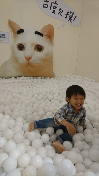 萌系星球 汪喵特展：高雄夢時代~萌系星球 汪喵特展~鏟屎官必逛~多種趣味體驗~可愛貓狗陪伴~好拍到嫑嫑~免費展覽錯過可惜~