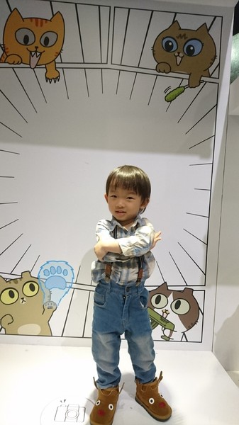 萌系星球 汪喵特展：高雄夢時代~萌系星球 汪喵特展~鏟屎官必逛~多種趣味體驗~可愛貓狗陪伴~好拍到嫑嫑~免費展覽錯過可惜~