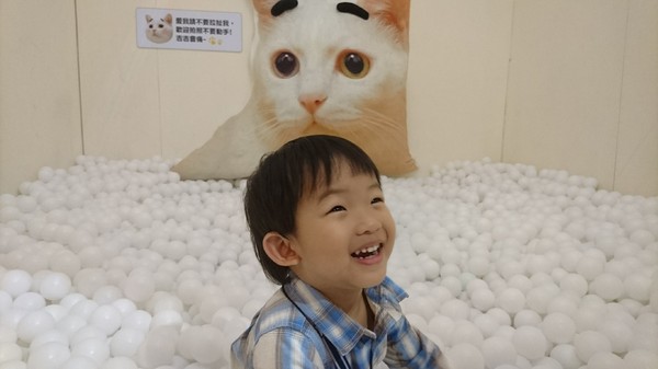 萌系星球 汪喵特展：高雄夢時代~萌系星球 汪喵特展~鏟屎官必逛~多種趣味體驗~可愛貓狗陪伴~好拍到嫑嫑~免費展覽錯過可惜~