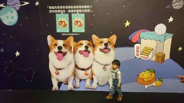 萌系星球 汪喵特展：高雄夢時代~萌系星球 汪喵特展~鏟屎官必逛~多種趣味體驗~可愛貓狗陪伴~好拍到嫑嫑~免費展覽錯過可惜~