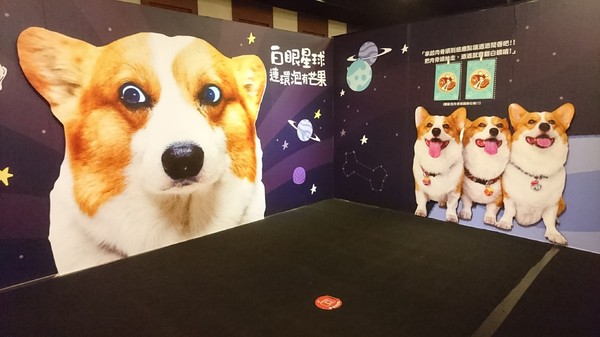 萌系星球 汪喵特展：高雄夢時代~萌系星球 汪喵特展~鏟屎官必逛~多種趣味體驗~可愛貓狗陪伴~好拍到嫑嫑~免費展覽錯過可惜~