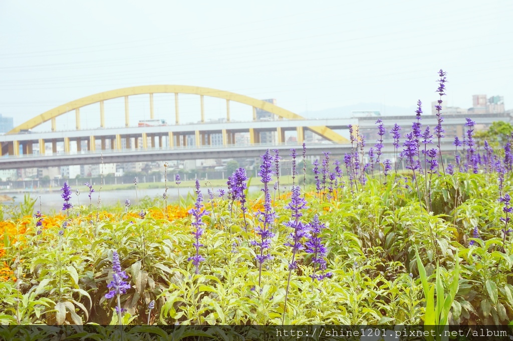松山早午餐 下午茶 咖啡 Latte bialetti 比亞樂堤 Velo City歐美單車