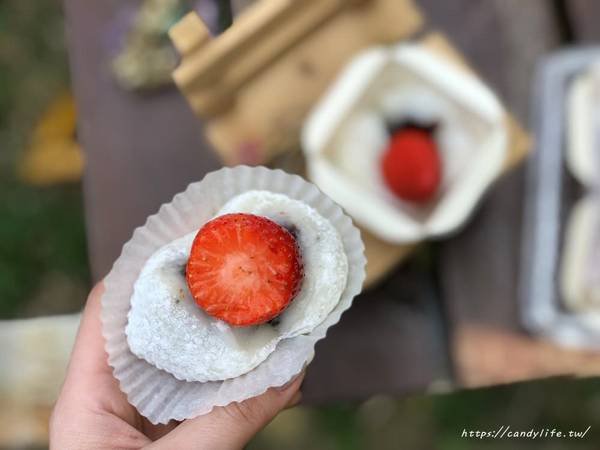 和日。手作：台中美食│和日。手作〃IG熱門打卡點!!台中也有美美的草莓大福啦~
