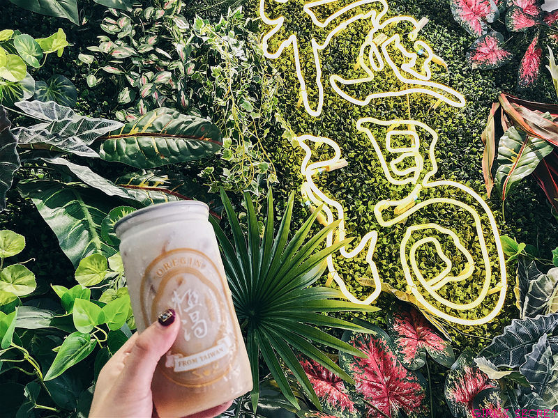 極渴 黃金烏龍茶 