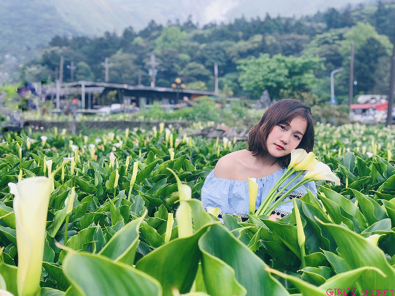 batch_5A7C6701-4A74-4642-953A-F282D49F6850