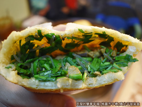 真北平韮菜盒10-剖面 真北平韮菜盒10-剖面