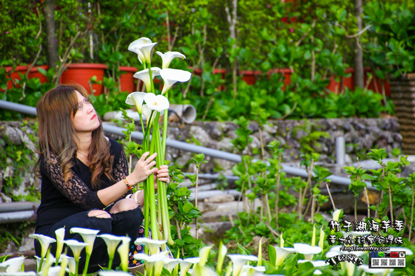 2018陽明山竹子湖海芋季:竹子湖海芋季【陽明山景點】|台北市北投區賞花熱門景點;2018當幸福來相芋。 2018陽明山竹子湖海芋季:竹子湖海芋季【陽明山景點】|台北市北投區賞花熱門景點;2018當幸福來相芋。