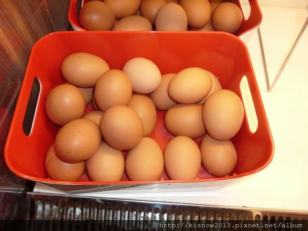 超猛的11-雞蛋.JPG 超猛的11-雞蛋.JPG