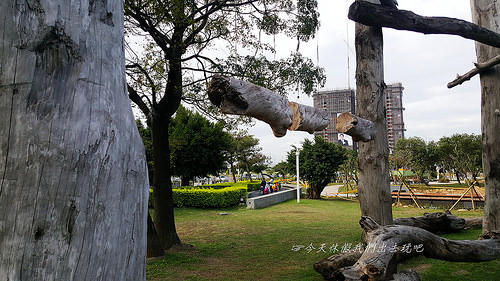 20181125_131235_副本