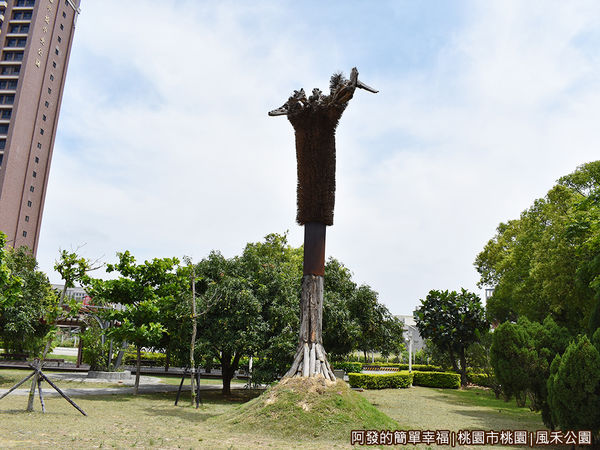 風禾公園09-樹.JPG