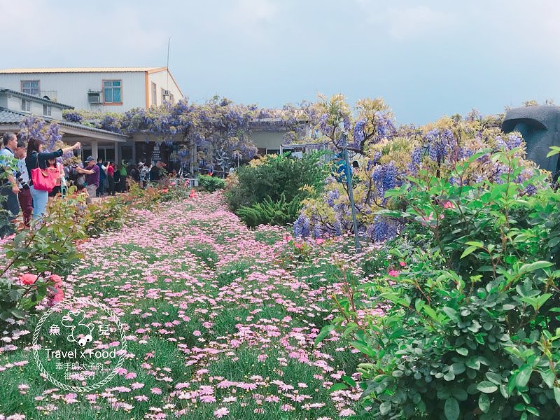 【遊】紫藤咖啡園（屯山園區）～季節限定的浪漫 @魚兒 x 牽手明太子的「視」界旅行