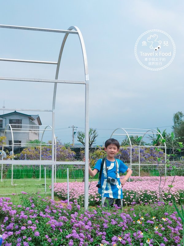 【遊】紫藤咖啡園（屯山園區）～季節限定的浪漫 @魚兒 x 牽手明太子的「視」界旅行