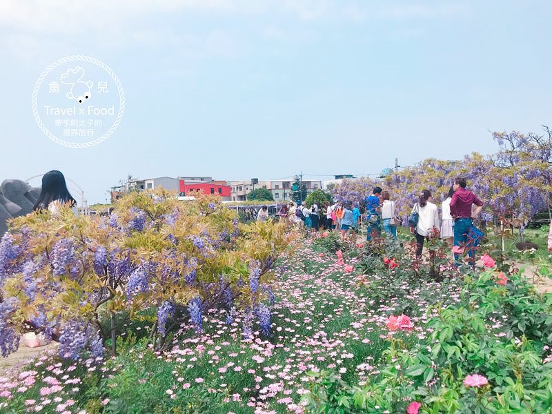 【遊】紫藤咖啡園（屯山園區）～季節限定的浪漫 @魚兒 x 牽手明太子的「視」界旅行