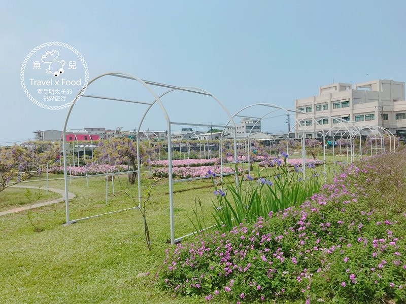 【遊】紫藤咖啡園（屯山園區）～季節限定的浪漫 @魚兒 x 牽手明太子的「視」界旅行