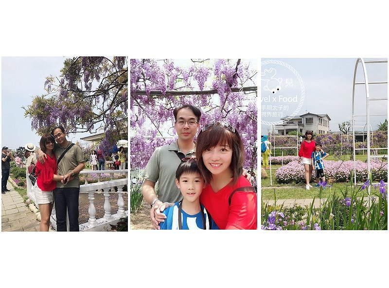 【遊】紫藤咖啡園（屯山園區）～季節限定的浪漫 @魚兒 x 牽手明太子的「視」界旅行