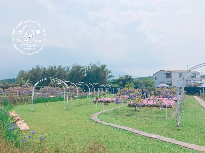 【遊】紫藤咖啡園（屯山園區）～季節限定的浪漫 @魚兒 x 牽手明太子的「視」界旅行