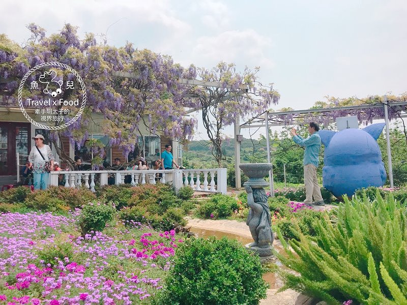 【遊】紫藤咖啡園（屯山園區）～季節限定的浪漫 @魚兒 x 牽手明太子的「視」界旅行