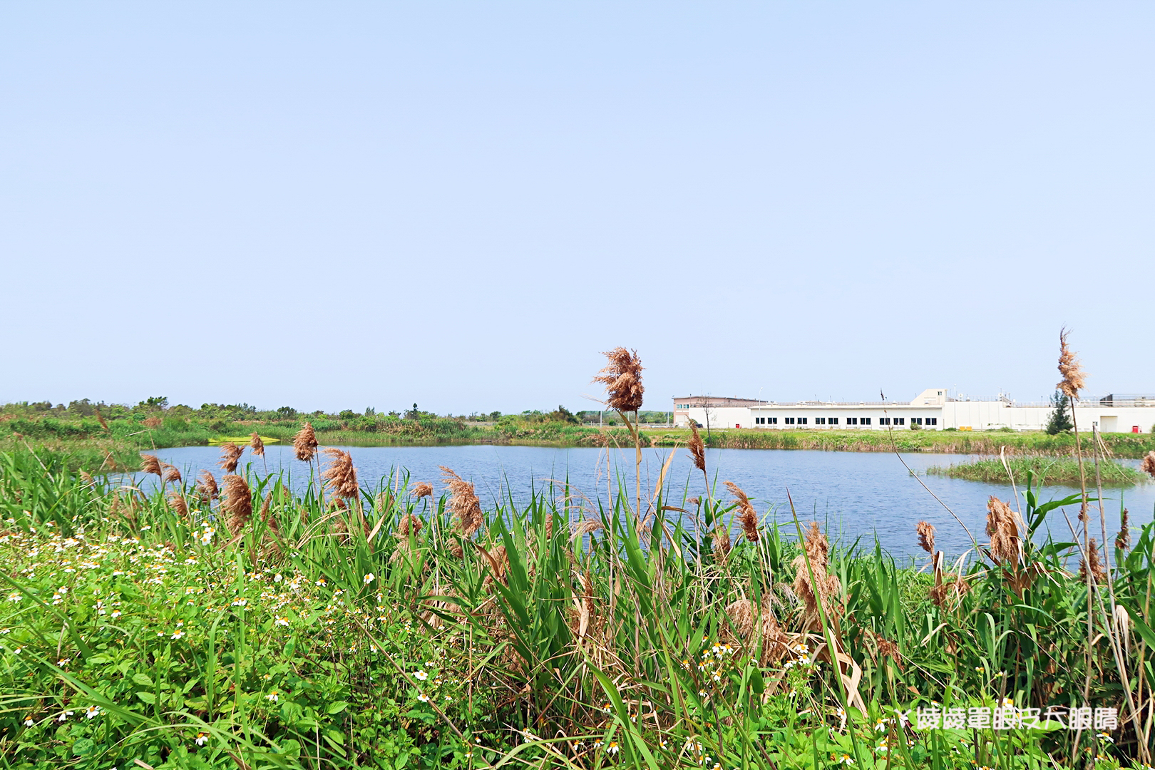 新竹市兒童藝術節懶人包!風的運動場活動時間、接駁車交通管制、新竹美食小吃整理、現場照片紀錄