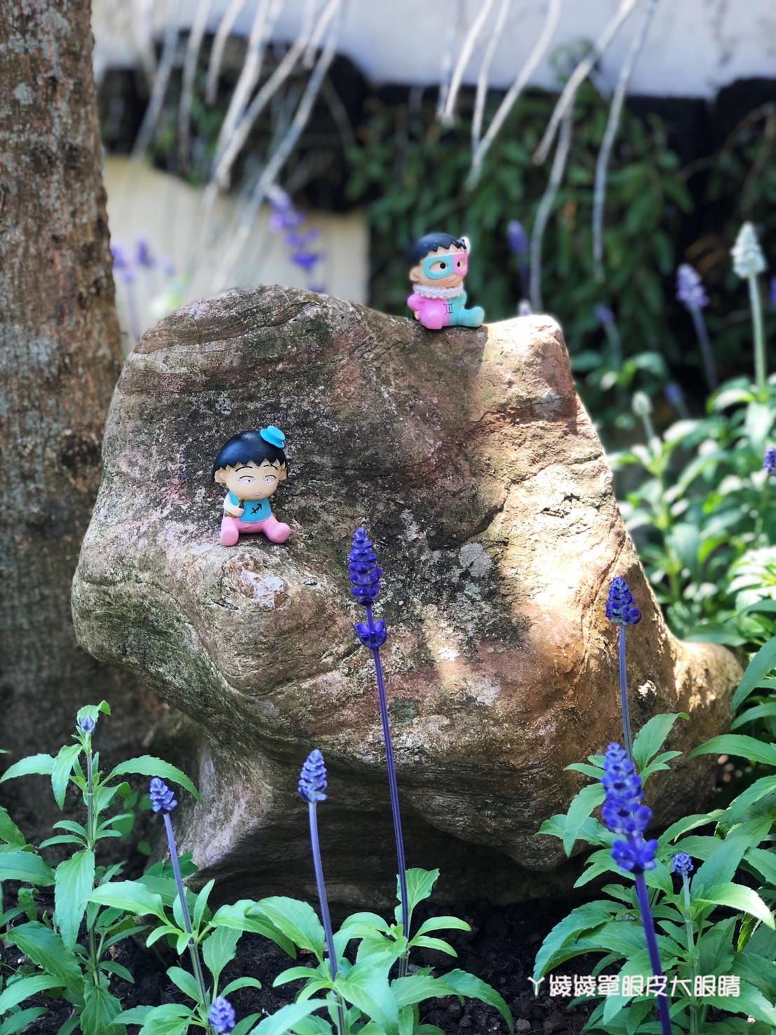 新竹旅遊景點！紫藤花盛開，新埔紫藤居限時開放，免費參觀夢幻紫色花瀑