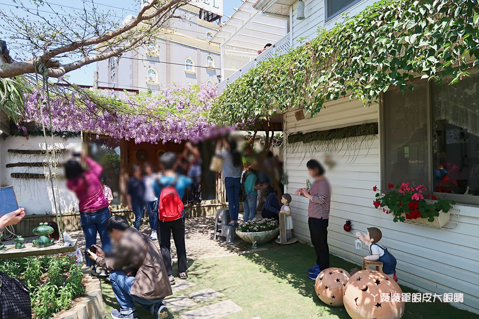 新竹旅遊景點！紫藤花盛開，新埔紫藤居限時開放，免費參觀夢幻紫色花瀑