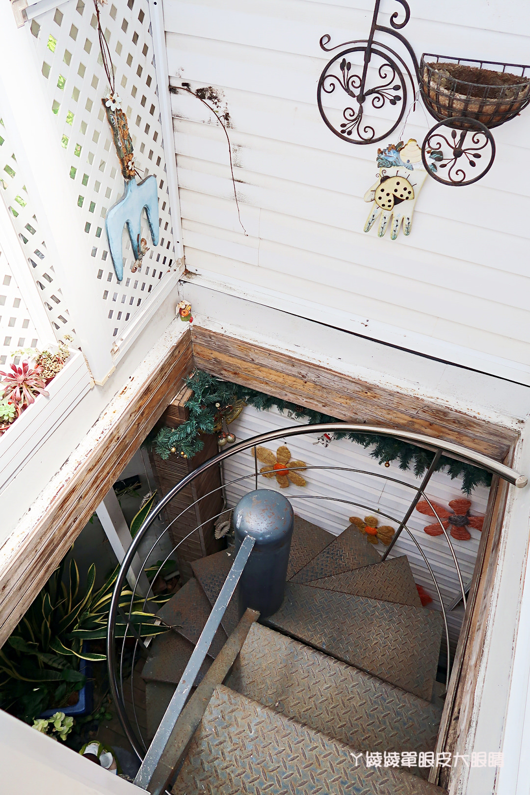 新竹旅遊景點！紫藤花盛開，新埔紫藤居限時開放，免費參觀夢幻紫色花瀑