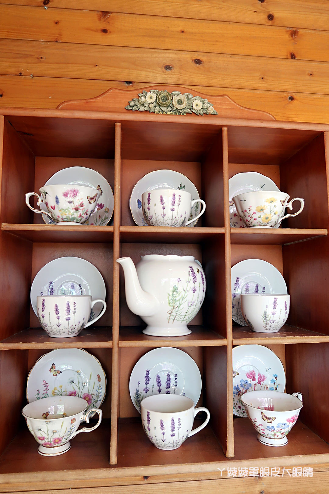 新竹旅遊景點！紫藤花盛開，新埔紫藤居限時開放，免費參觀夢幻紫色花瀑