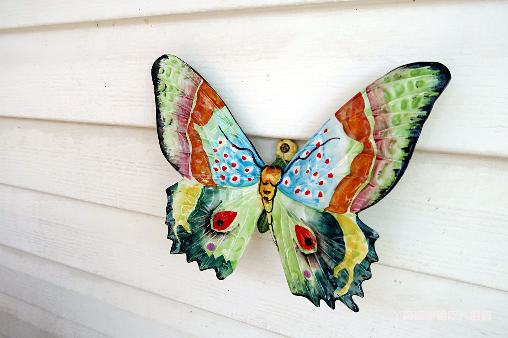 新竹旅遊景點！紫藤花盛開，新埔紫藤居限時開放，免費參觀夢幻紫色花瀑