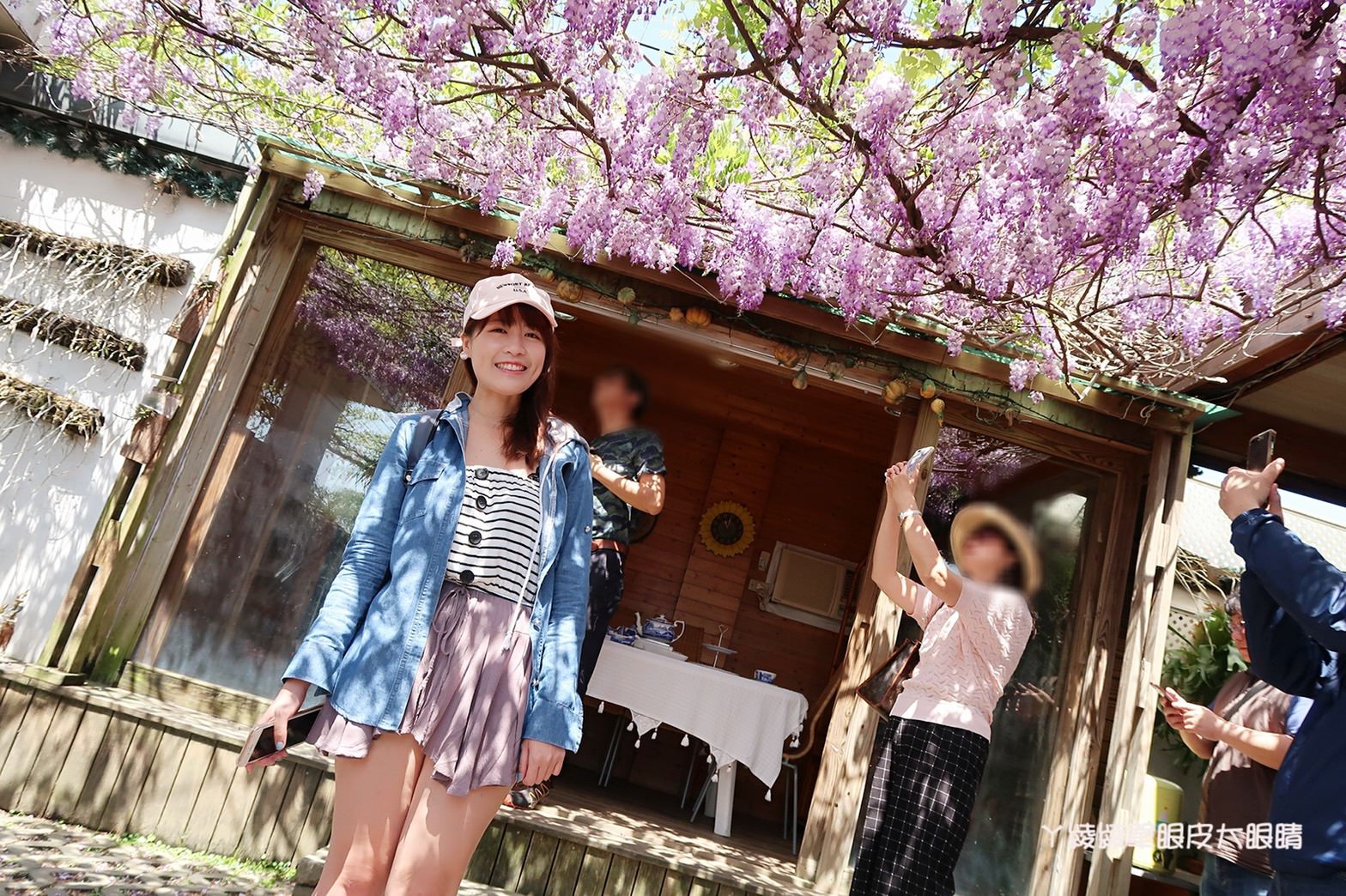 新竹旅遊景點！紫藤花盛開，新埔紫藤居限時開放，免費參觀夢幻紫色花瀑