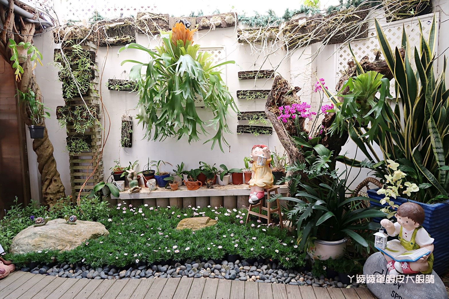 新竹旅遊景點！紫藤花盛開，新埔紫藤居限時開放，免費參觀夢幻紫色花瀑