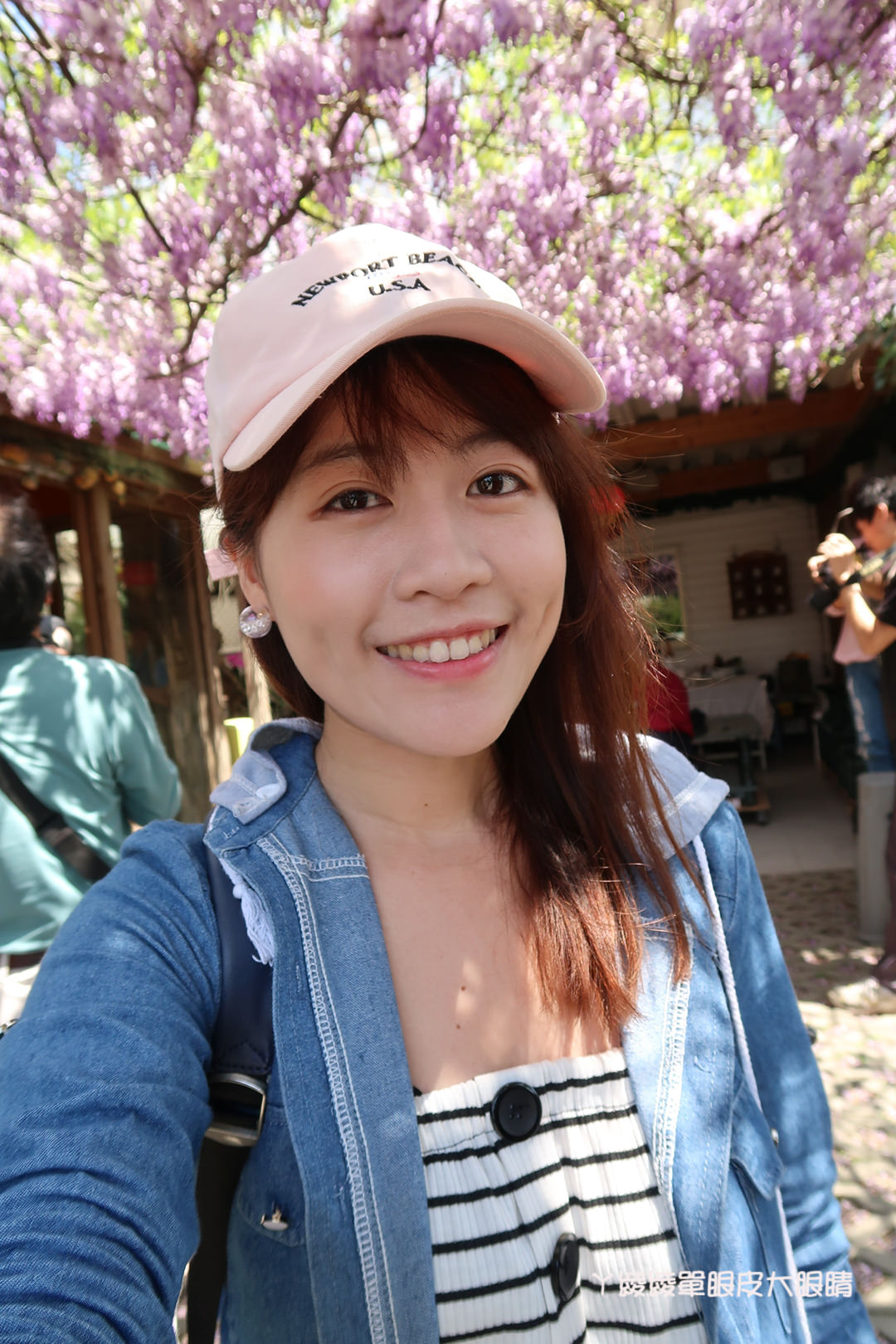 新竹旅遊景點！紫藤花盛開，新埔紫藤居限時開放，免費參觀夢幻紫色花瀑