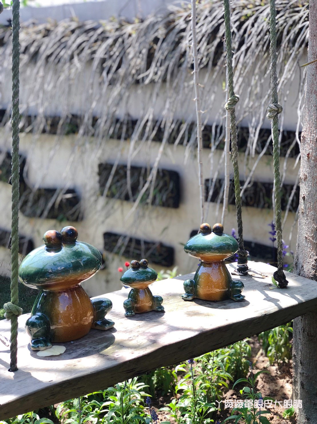 新竹旅遊景點！紫藤花盛開，新埔紫藤居限時開放，免費參觀夢幻紫色花瀑