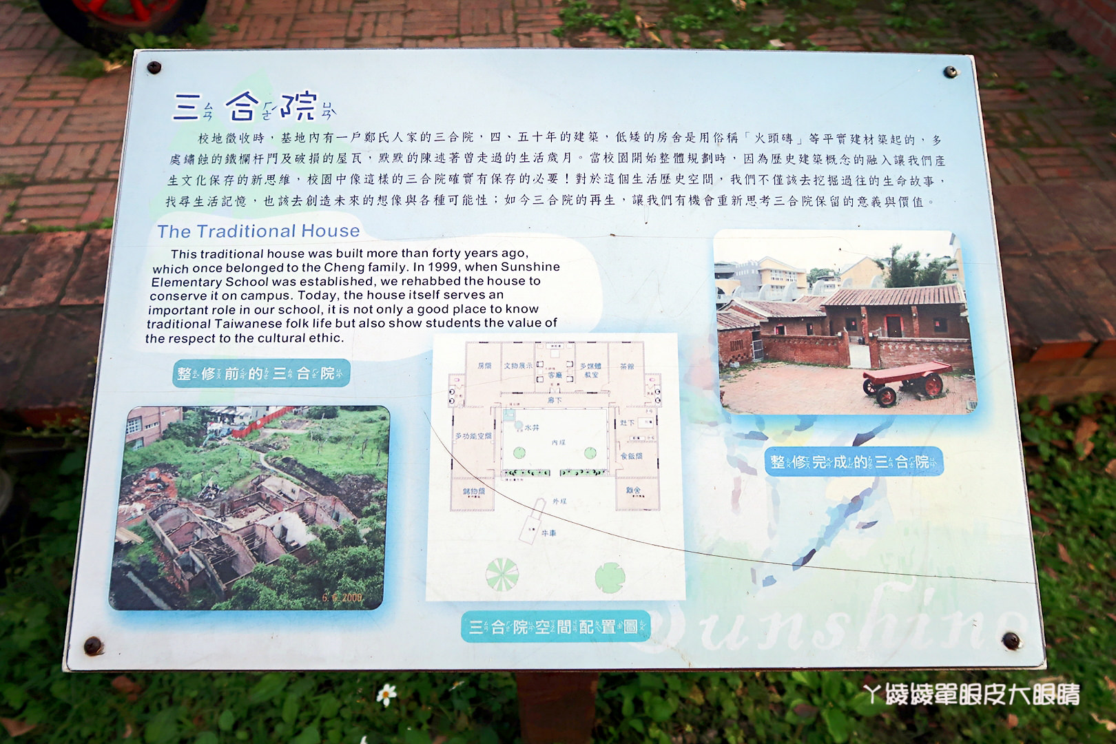 新竹免費旅遊景點推薦！陽光國小紫藤花開了！兩層樓高的彩虹溜滑梯