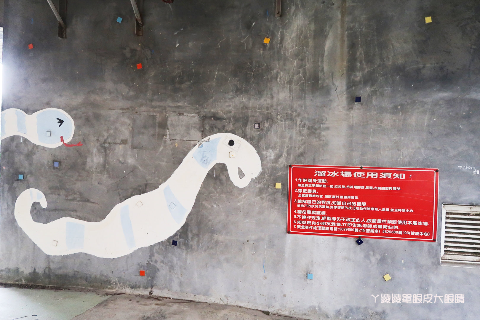 新竹免費旅遊景點推薦！陽光國小紫藤花開了！兩層樓高的彩虹溜滑梯