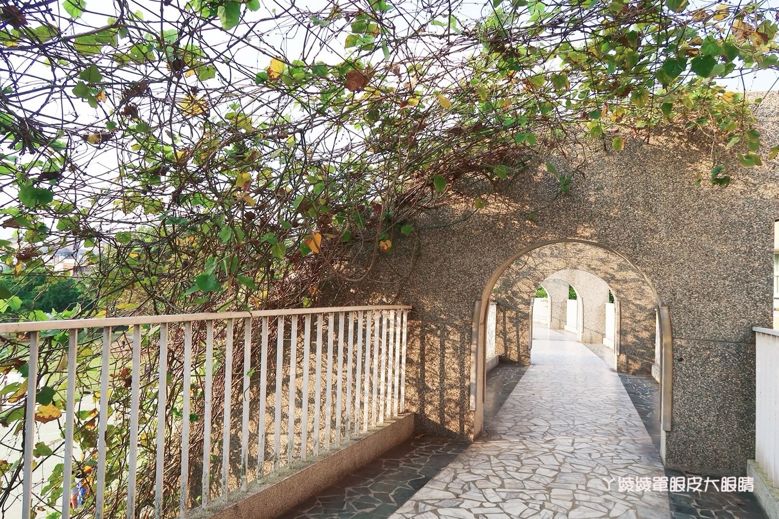 新竹免費旅遊景點推薦！陽光國小紫藤花開了！兩層樓高的彩虹溜滑梯