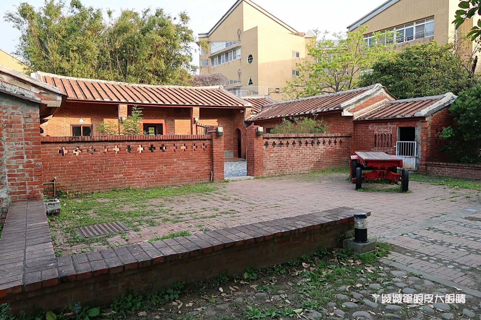 新竹免費旅遊景點推薦！陽光國小紫藤花開了！兩層樓高的彩虹溜滑梯