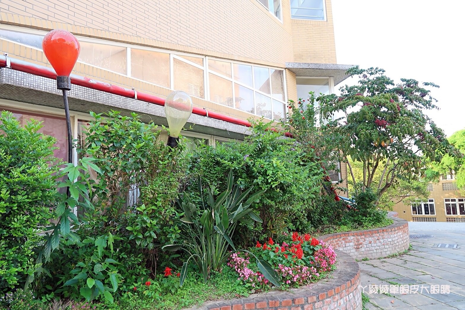 新竹免費旅遊景點推薦！陽光國小紫藤花開了！兩層樓高的彩虹溜滑梯