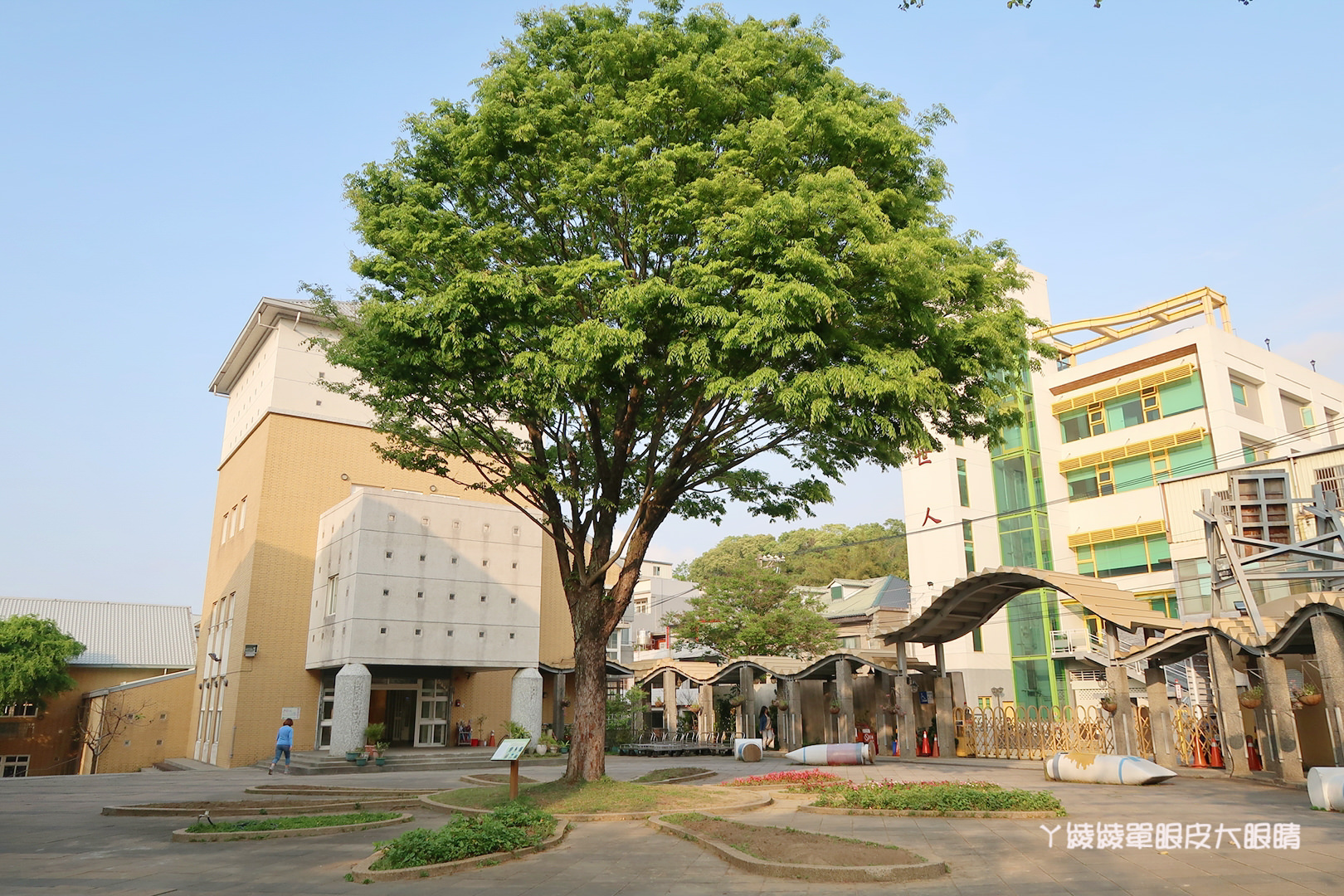 新竹免費旅遊景點推薦！陽光國小紫藤花開了！兩層樓高的彩虹溜滑梯