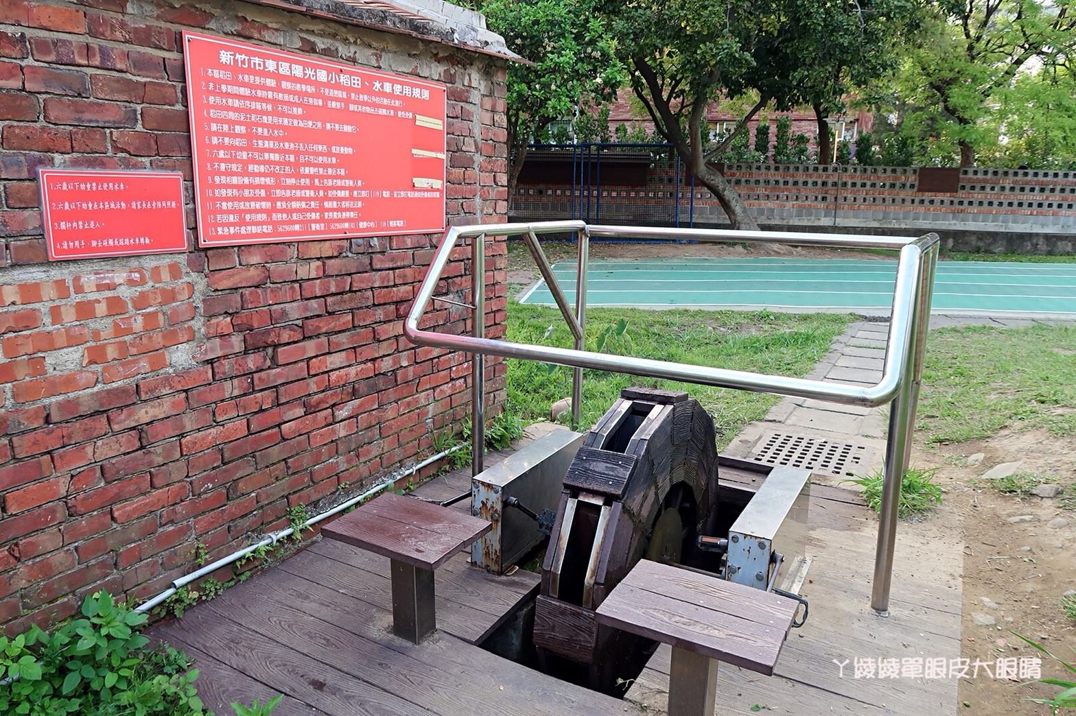 新竹免費旅遊景點推薦！陽光國小紫藤花開了！兩層樓高的彩虹溜滑梯