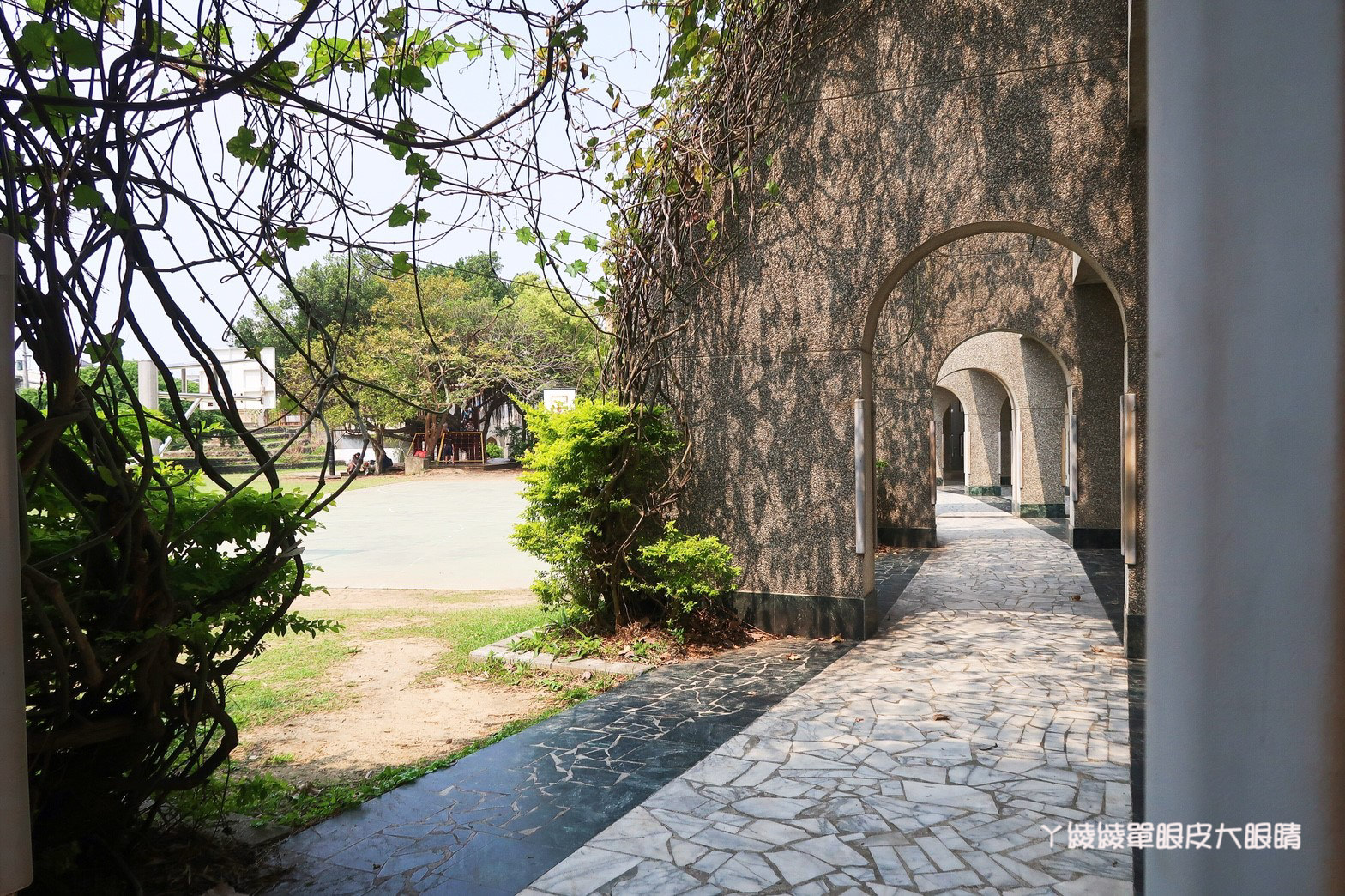 新竹免費旅遊景點推薦！陽光國小紫藤花開了！兩層樓高的彩虹溜滑梯